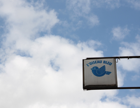 Negritude Loiseau Symbole De Notre Drapeau
